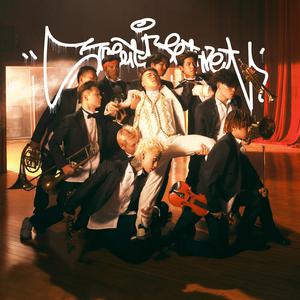 巴西大码纹大屁股的起源和历史
