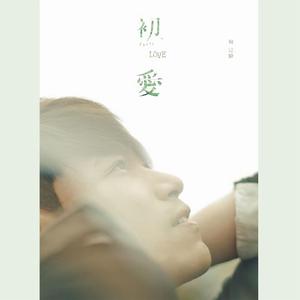 巴西大码纹大屁股的起源和历史
